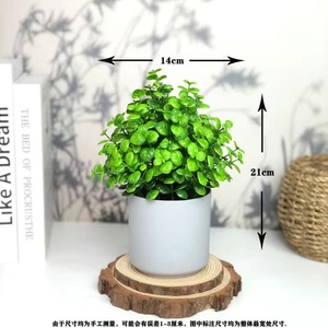 Venta caliente planta verde <span class=keywords><strong>artificial</strong></span> bonsái sala de estar Oficina Decoración - Product Image 6