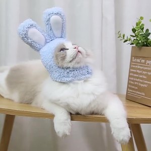 Cute Costume Bunny <strong>Rabbit</strong> <strong>Hat</strong> With Ears For Cats &amp; Small Dogs Party Costume Easter Pet Accessory Headwear - Product Image 4