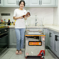 Machine d'emballage sous vide portable de table 220V/110V pour la conservation alimentaire domestique et commerciale