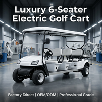 Carrito de Golf Eléctrico de 6 Plazas con Certificación Tarion CE, Controlador de CA de 60V, Motor de 3.5kW, Batería de Litio Personalizada, Alcance de 90 km
