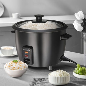 Cuociriso da 6 Tazze con Pentola Antiaderente Rimovibile, Yogurtiera e Cuocitore per Cereali One-Touch, Mantenimento Automatico del Calore - Product Image 1