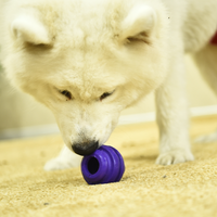 Jouet pour chien Petstar, jouet à mâcher en caoutchouc pour chien