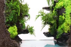 ชุดปลูกต้นไม้ในสวนแก้วมอสแบบสองชั้นวัสดุธรรมชาติจำลองที่ทนทานทำจากเส้นใยมอสที่เก็บรักษาไว้ - Product Image 2