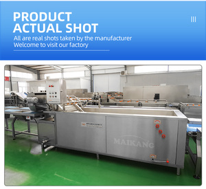 Machine de lavage alimentaire à l'ozone intégrée haut de gamme pour prunes, piments, haricots, fleurs comestibles – Équipement de production de précision à haut rendement - Product Image 6