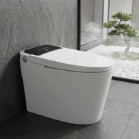 WC intelligent avec bidet intégré, capteur automatique de chasse d'eau, chauffage de la cuvette, fonctionnement automatique, certifié Cupc WaterMark