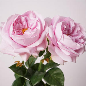 Flores Artificiales de Látex de Alta Calidad BF-RS18-1, Tacto Real, <span class=keywords><strong>Rosa</strong></span> Blanco, <span class=keywords><strong>Rosa</strong></span> Austin <span class=keywords><strong>Juliet</strong></span>, para Decoración de Bodas y Hogar - Product Image 6