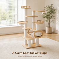 Arbre à chat tout-en-un en bois massif, grand format, avec deux capsules spatiales, gain de place