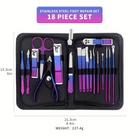 Ensemble d'outils de beauté multifonctionnels en acier inoxydable dégradé pour les ongles Pince à nez de poussin Set de manucure et de pédicure d'usine
