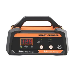 Ce Rohs 7 Stappen Reparatie Elektrische Booster 6V 12V Smart Charger Loodaccu 8A 2A Auto Smart lader