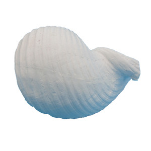 Polyresin Love Sea Conch Shell Corales Acuario para decoración Estatuilla - Product Image 4