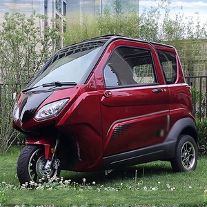 Tricycle Électrique à <span class=keywords><strong>Bas</strong></span> Prix pour Personnes Âgées, Pièces de Moteur 1200W 2000W 3000W, Remorques Électriques pour Tricycles, Essieu Arrière, Pédicab - Product Image 2
