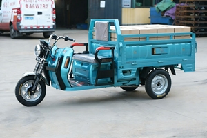 Triciclo Eléctrico Ecológico Serie Luba para Transporte Urbano, Agricultura y Fábricas - Product Image 5