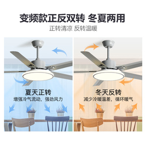 Minimalist Stainless Steel <b>Ceiling</b> Fan <b>Light</b> 56 Inch <b>Led</b> Fixed Blade For Living Room And Study - Product Image 4