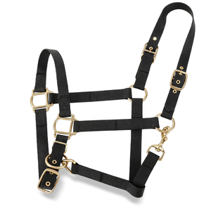 Collier <span class=keywords><strong>de</strong></span> tête <span class=keywords><strong>de</strong></span> cheval en PVC souple, ajustable et durable, imperméable, personnalisé, petit <span class=keywords><strong>poney</strong></span> moelleux Cob Arabian Rubber personnalisé Halter Horse - Product Image 3