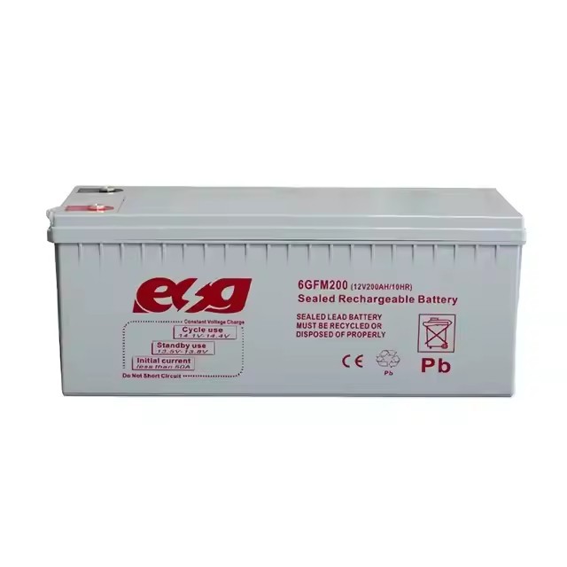 ESG Deep Cycle Lead-acid Battery 12V 100Ah Agm Battery 12v100ah sealed Lead Acid Battery