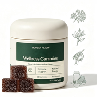 Gummies végétariennes sans sucre au Shilajit, mousse de mer, Ashwagandha et miel, complément bien-être à base de plantes pour adultes