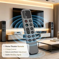 Control Remoto de Audio para el Hogar JCXK de 17 Teclas, Control Remoto Inalámbrico de Plástico ABS para Sistema de Audio, Suministro de Fábrica Personalizado OEM ODM