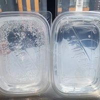 Bougie en gel biodégradable faite à la main, longue durée, en blocs colorés, souples et durs, transparents, pour les fêtes de Diwali, vente en gros