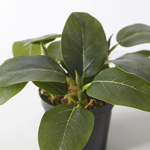 กระถางต้นไม้เทียมขนาดเล็ก15ซม. สำหรับตกแต่งห้องนั่งเล่นในร่ม - Product Image 3