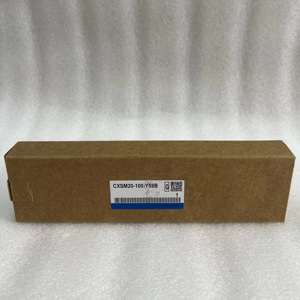 Cylindre neuf et d'origine CXSM20-100-Y59B - Product Image 1