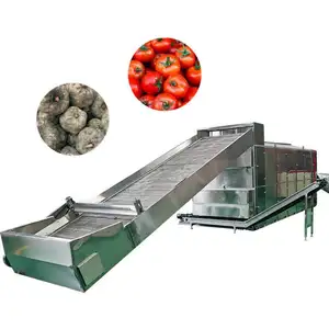 Industrial Dry Meat Machine Fruit Drying Oven Hot Air Circulation Drying Oven Hot Air Mesh Belt Dryer