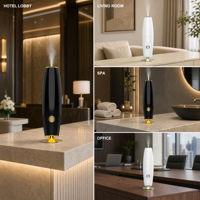 Diffuseur d'huiles essentielles pures de qualité supérieure, diffuseur d'arômes sans eau, rechargeable par type C, pour la maison