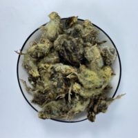 Cailles lyophilisées entières avec plumes, friandise pour chiens et chats, pour chats difficiles, chiens de petite et moyenne taille, alimentation crue