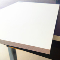 Feuille de plastique flexible en PVC 6mm 4x8