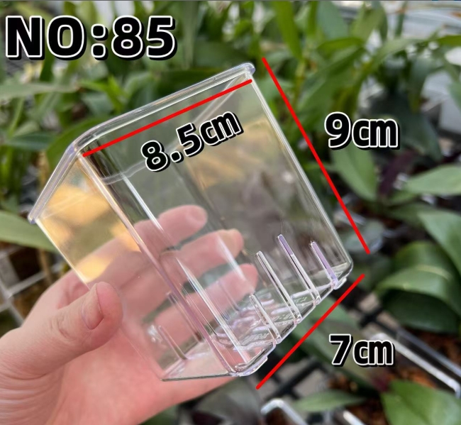 Trasparente 8 cm (senza vassoio)