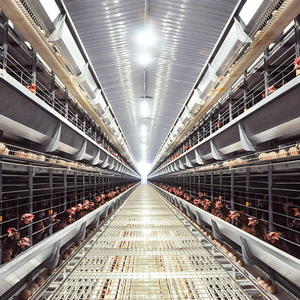 Yeni H Tipi Batarya Kafes Otomatik Katmanlı Tavuk Kafesi Sıcak Daldırma Galvanizli Çelik PVC 3-4 Katlı 5000-50000 Kapasiteli Çiftlik - Product Image 1