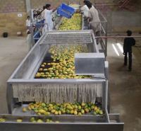 Hoge kwaliteit, hoge efficiëntie, milieuvriendelijke wasrolborstelmachine voor het reinigen van fruit, groenten & tarwe, bovenaan de BYFW-model.
