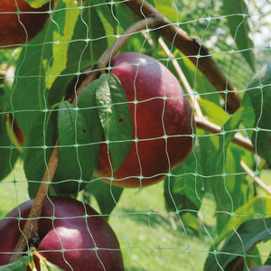 רשת הגנה למטעים נגד ציפורים, רשתות חקלאיות נגד ציפורים, רשת נגד ציפורים לגידול אוכמניות, מבצע חם - Product Image 4