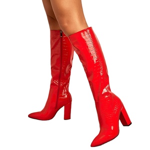 Party Women's Shoes 2025 New Large Size Fashion <b>Boots</b> Stone Pattern Side Zipper Comfortable Thick Heel Fashion Women's <b>Boots</b> - Product Image 3