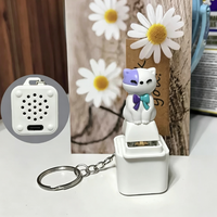 Gantungan Kunci Grosir Campuran Aneka Bentuk, Lampu Kedip Isi Ulang, Suara Burung Camar, Tombol, Mainan Fidget Lucu