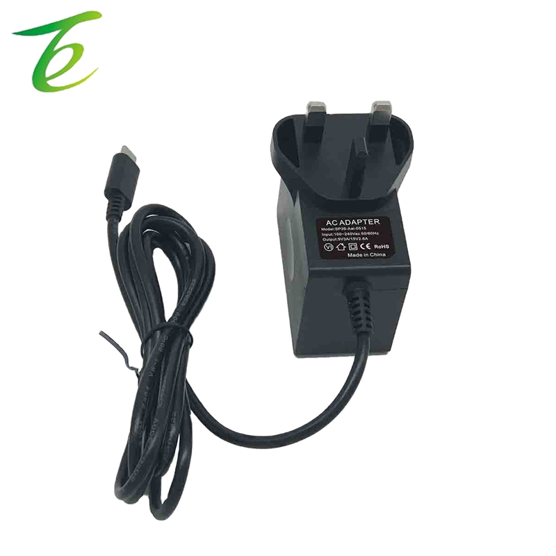 British rules Nintendo 5V3A/15V2.6A game console charger seitch charger type-c