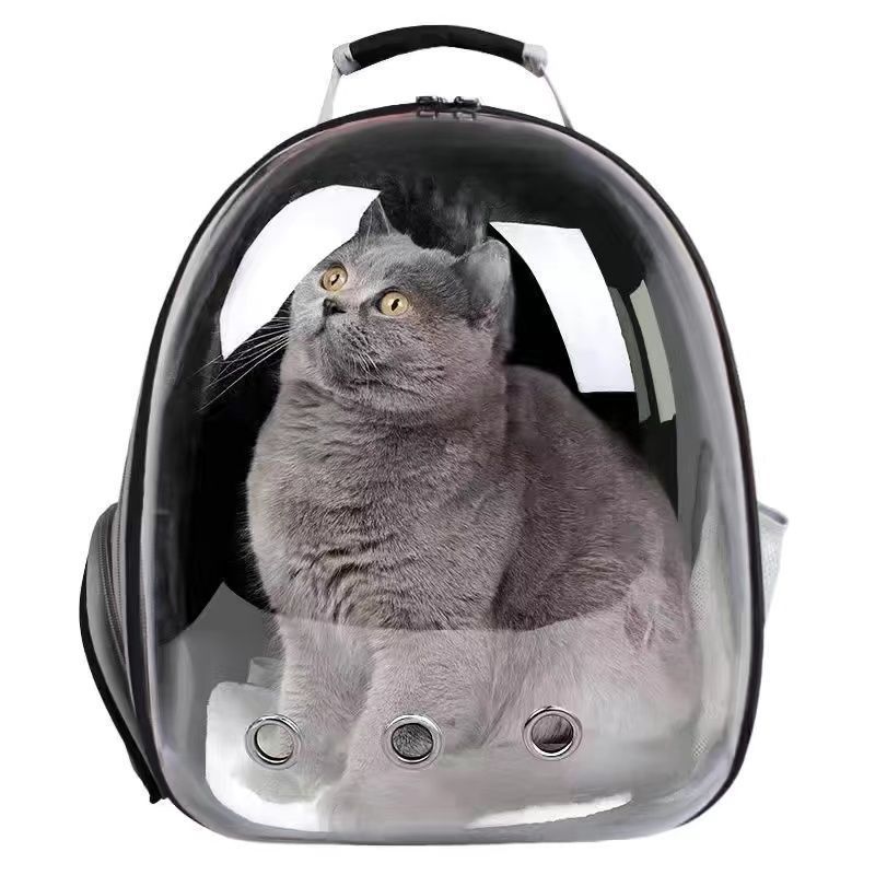 Panorama transparent [noir]]