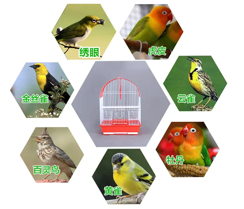 Renkli özel papağan kanarya toptan kuş yetiştiriciliği yuva kafes kuş kafesi