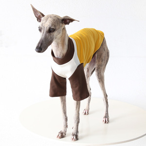 Camiseta de Verano Informal de Algodón <span class=keywords><strong>con</strong></span> Extracto de Hielo Maillard de Petstyle para Perros Grandes XL, Ropa para Mascotas para <span class=keywords><strong>Galgo</strong></span> Italiano Whitebit - Product Image 4