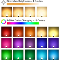 Ampoule LED RGB avec télécommande 220V 5W Culot E27 E26 A60 16 couleurs au choix pour la maison, les fêtes et la chambre