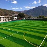 Gazon artificiel pour terrain de football de 30 mm de hauteur, pelouse synthétique verte pour écoles et terrains de sport