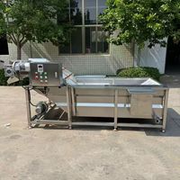 Volledig automatische fruit- en groentewasmachine met hogedruksproeier voor het reinigen van druiven