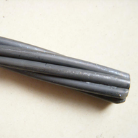 Fil d'acier galvanisé Fil d'acier plaqué de béton précontraint 12.7mm Précontrainte 49 brins en acier inoxydable