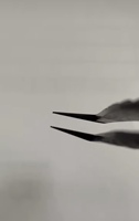 Ensemble de pinces à épiler professionnelles pour extensions de cils, couleur noire, en acier inoxydable, pour isolation et volume, vente en gros