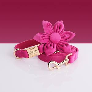 Collier pour chien personnalisé gravé en Bourgogne avec laisse et nœud papillon - Product Image 2