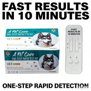 Prueba Rápida de Antígeno de Dirofilaria Canina (CHW Ag) para Perros, Kits de Diagnóstico Rápido de Enfermedades Caninas - Product Image 3
