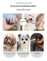 Ensemble complet d'outils de toilettage pour animaux de compagnie avec coupe-ongles, lime à ongles, peigne démêlant, brosse anti-poils et outil de massage pour le soin quotidien des chiens et des chats