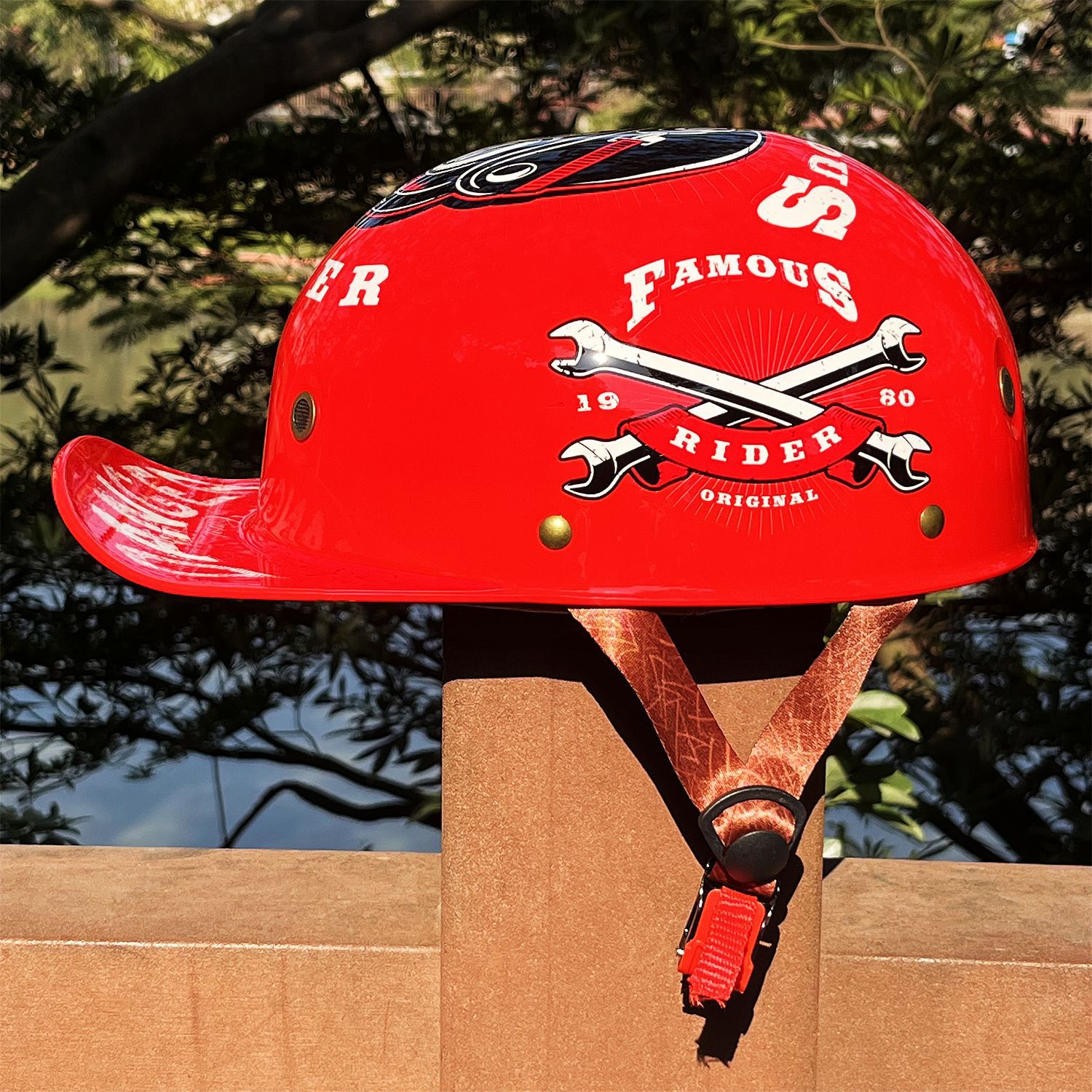 Cane lupo rosso notturno