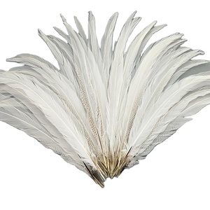 50-55Cm Màu Trắng Tự Nhiên Bạc Gà lôi Đuôi Bán Buôn Gà lôi Lông Đảng Trang Trí - Product Image 2
