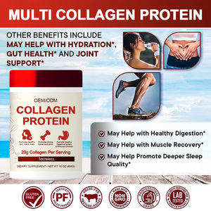 美容製品ブルーベリーフレーバーコラーゲンプロテインパウダー美白髪爪成長消化酵素 - Product Image 4