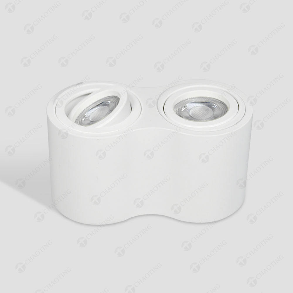 Double tête Downlight